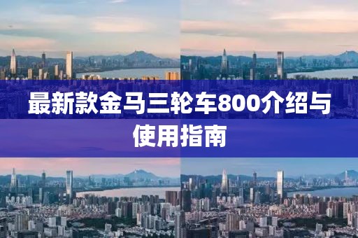 最新款金马三轮车800介绍与使用指南