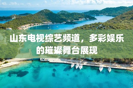 山东电视综艺频道，多彩娱乐的璀璨舞台展现