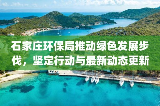 石家庄环保局推动绿色发展步伐，坚定行动与最新动态更新