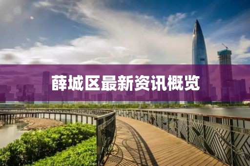 薛城区最新资讯概览