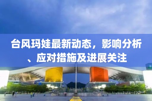 台风玛娃最新动态，影响分析、应对措施及进展关注