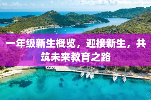 一年级新生概览，迎接新生，共筑未来教育之路