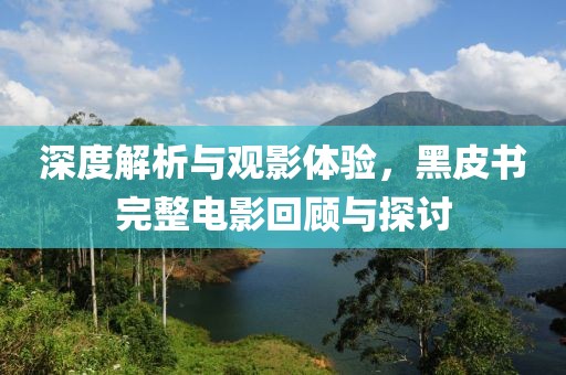 深度解析与观影体验，黑皮书完整电影回顾与探讨