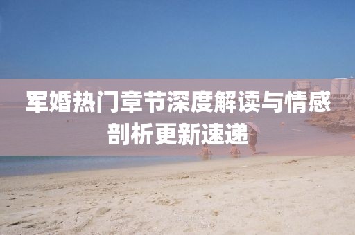 军婚热门章节深度解读与情感剖析更新速递