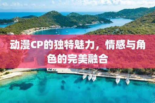 动漫CP的独特魅力，情感与角色的完美融合