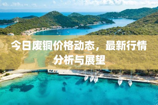 今日废铜价格动态，最新行情分析与展望