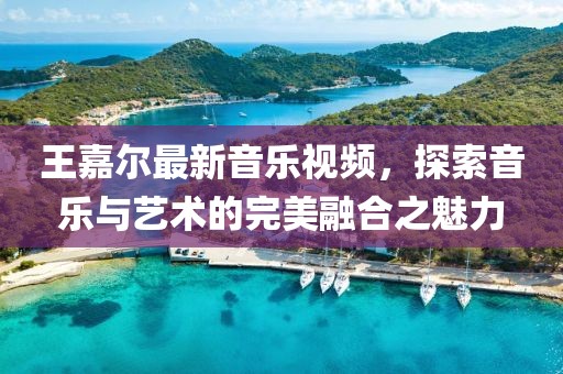 王嘉尔最新音乐视频，探索音乐与艺术的完美融合之魅力