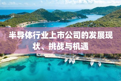 半导体行业上市公司的发展现状、挑战与机遇
