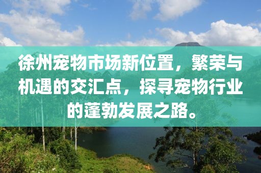 徐州宠物市场新位置，繁荣与机遇的交汇点，探寻宠物行业的蓬勃发展之路。