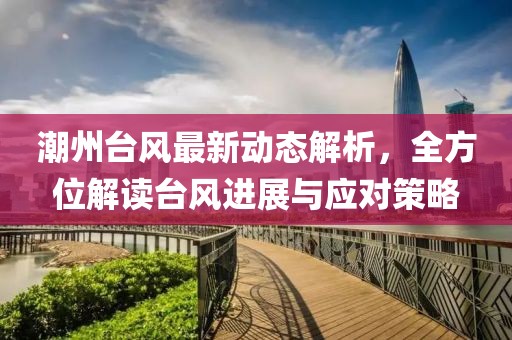 潮州台风最新动态解析，全方位解读台风进展与应对策略