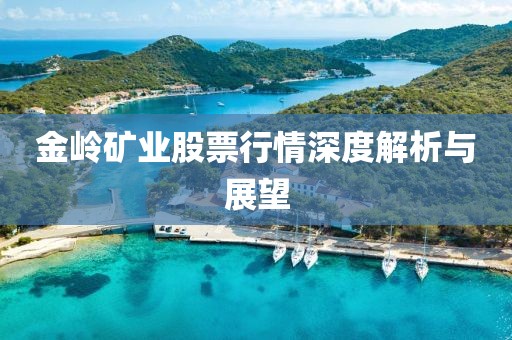 金岭矿业股票行情深度解析与展望
