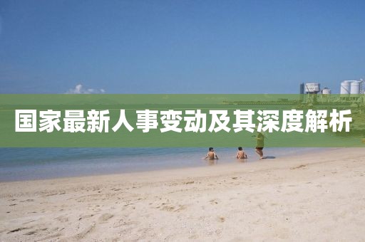 国家最新人事变动及其深度解析