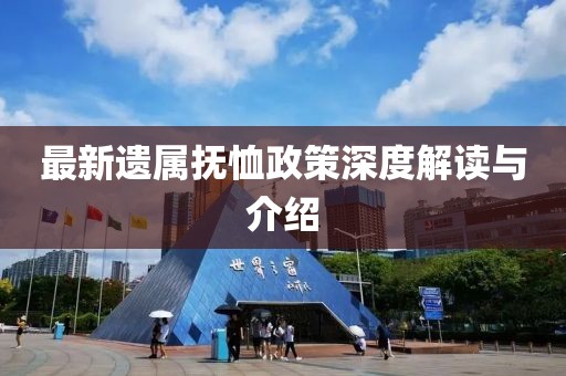 最新遗属抚恤政策深度解读与介绍