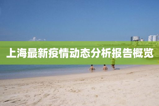 上海最新疫情动态分析报告概览