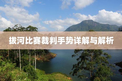 拔河比赛裁判手势详解与解析