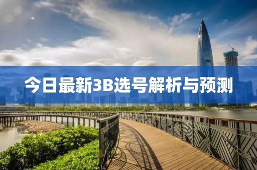 今日最新3B选号解析与预测