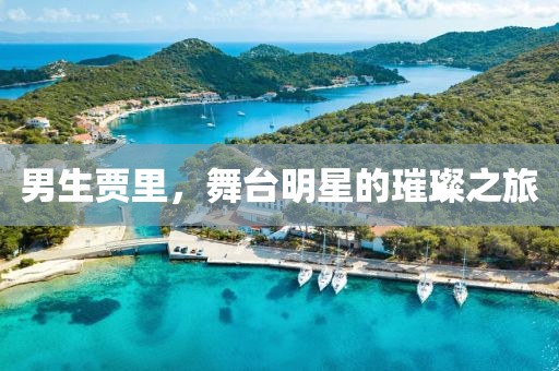 男生贾里，舞台明星的璀璨之旅