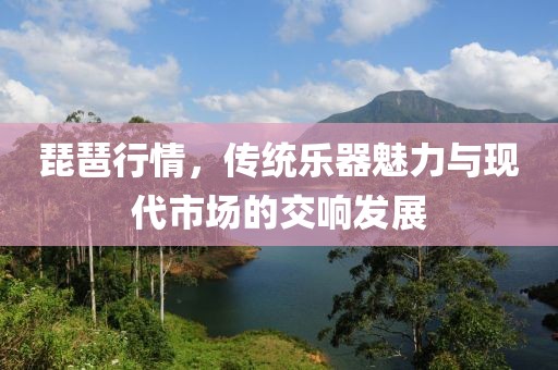 琵琶行情，传统乐器魅力与现代市场的交响发展