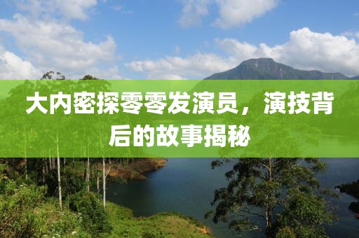 大内密探零零发演员，演技背后的故事揭秘