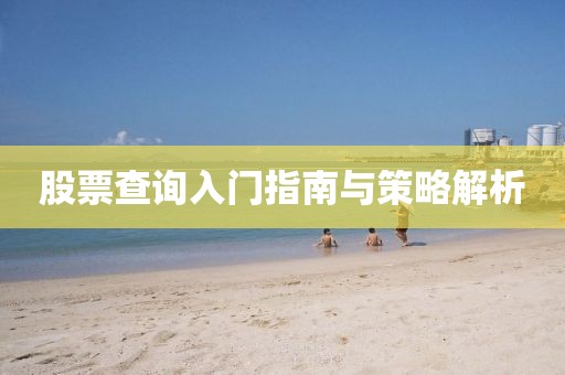 股票查询入门指南与策略解析