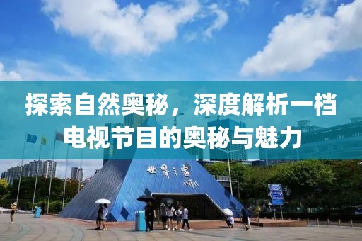 探索自然奥秘，深度解析一档电视节目的奥秘与魅力