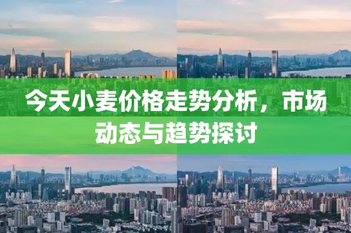 今天小麦价格走势分析，市场动态与趋势探讨