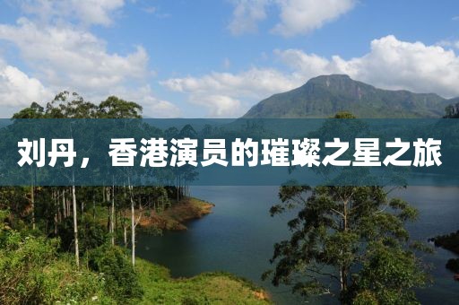 刘丹，香港演员的璀璨之星之旅