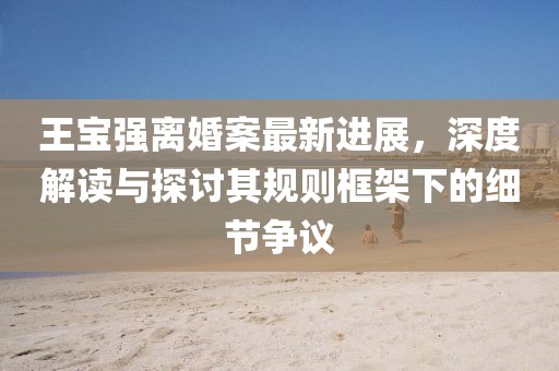 王宝强离婚案最新进展，深度解读与探讨其规则框架下的细节争议