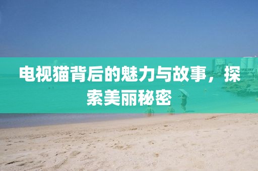 电视猫背后的魅力与故事，探索美丽秘密