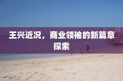 王兴近况，商业领袖的新篇章探索