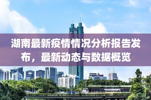 湖南最新疫情情况分析报告发布，最新动态与数据概览