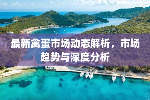 最新禽蛋市场动态解析，市场趋势与深度分析