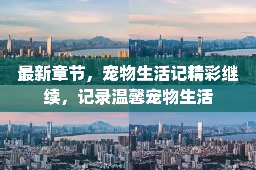 最新章节，宠物生活记精彩继续，记录温馨宠物生活