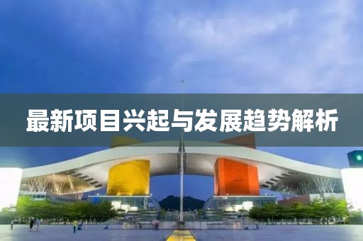 最新项目兴起与发展趋势解析