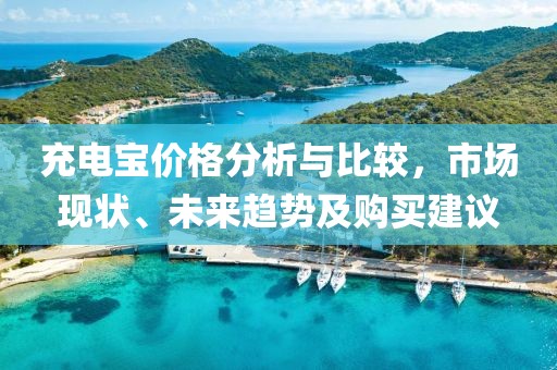充电宝价格分析与比较，市场现状、未来趋势及购买建议
