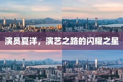 演员夏洋，演艺之路的闪耀之星