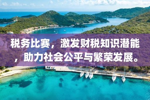 税务比赛，激发财税知识潜能，助力社会公平与繁荣发展。