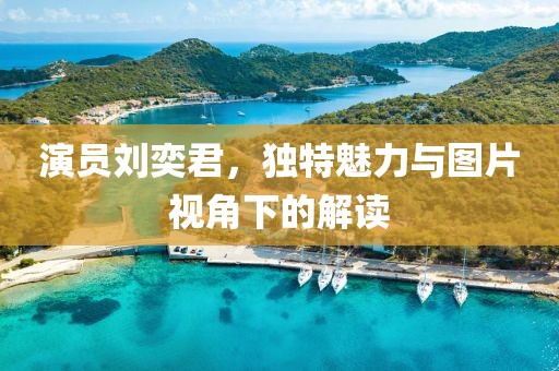 演员刘奕君，独特魅力与图片视角下的解读