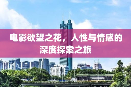 电影欲望之花，人性与情感的深度探索之旅