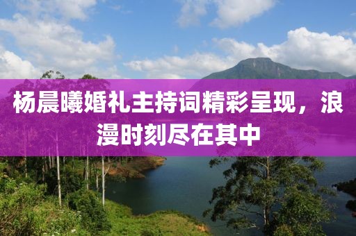 杨晨曦婚礼主持词精彩呈现，浪漫时刻尽在其中
