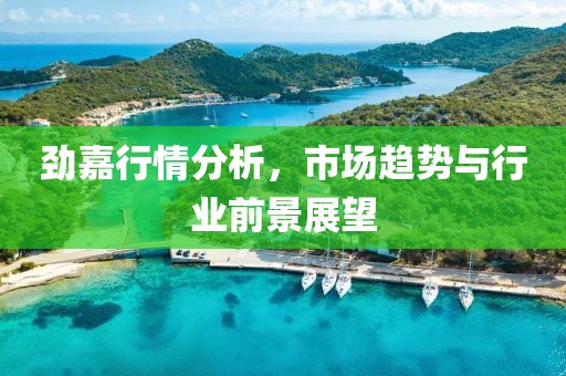 劲嘉行情分析，市场趋势与行业前景展望