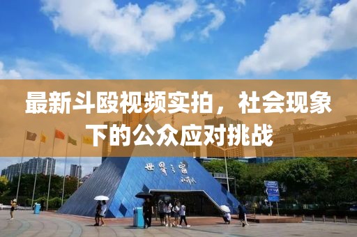 最新斗殴视频实拍，社会现象下的公众应对挑战