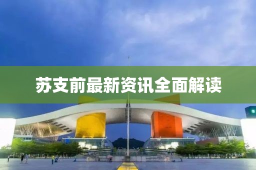 苏支前最新资讯全面解读