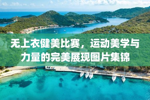 无上衣健美比赛，运动美学与力量的完美展现图片集锦