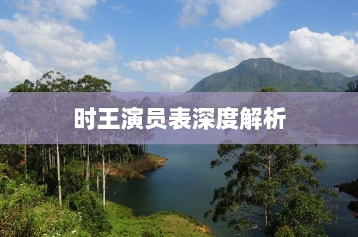 时王演员表深度解析