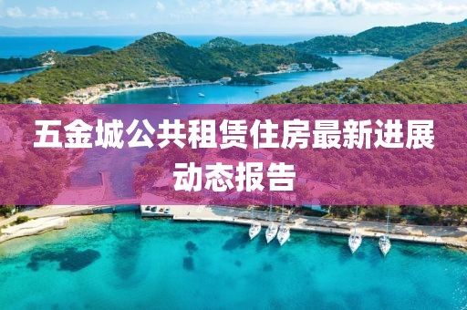 五金城公共租赁住房最新进展动态报告
