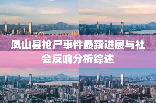 凤山县抢尸事件最新进展与社会反响分析综述