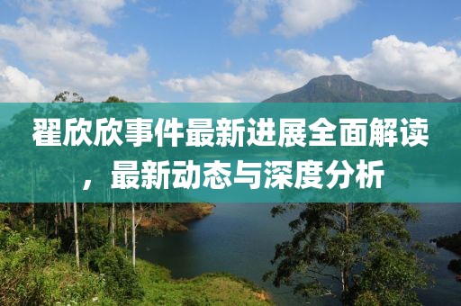 翟欣欣事件最新进展全面解读，最新动态与深度分析