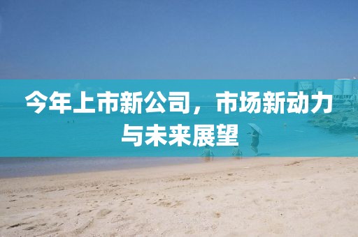 今年上市新公司，市场新动力与未来展望