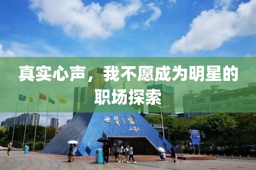 颛孙语山 第4页